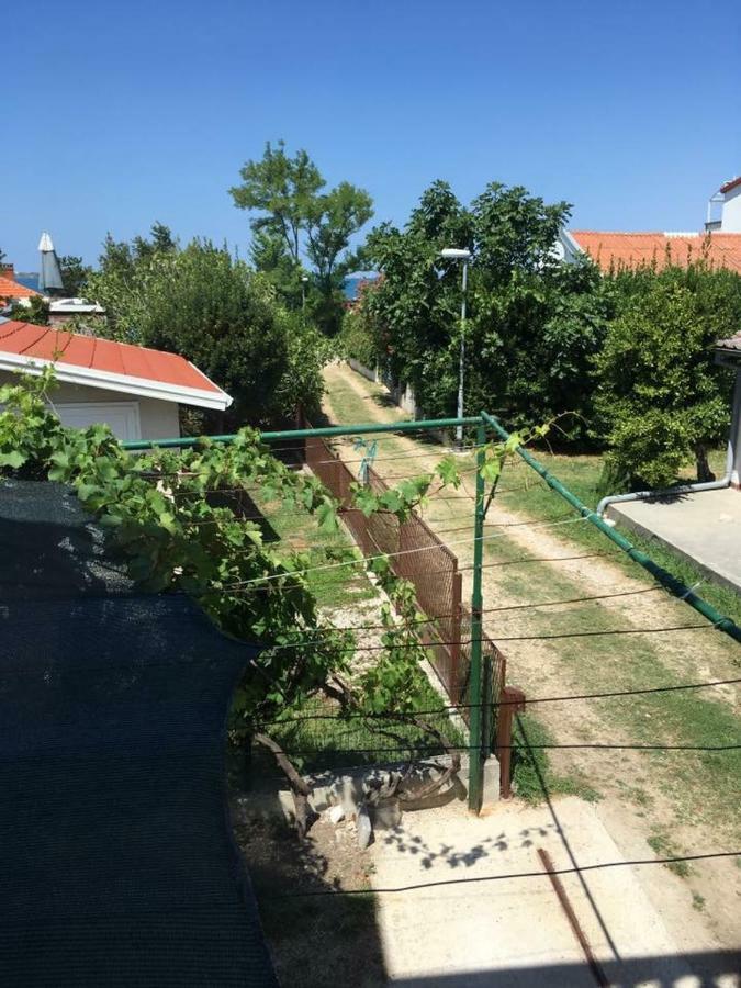 Apartman Zvoncica Vrsi Ngoại thất bức ảnh